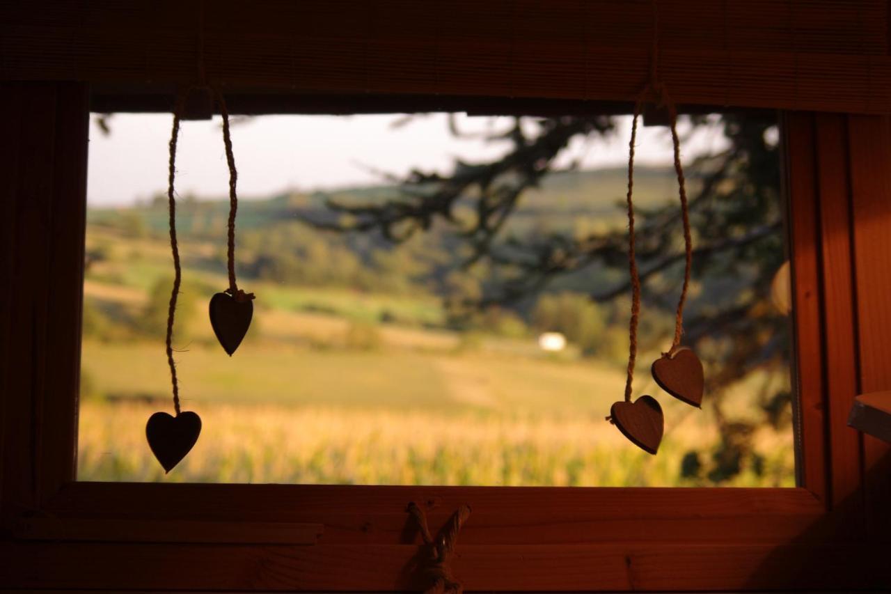 Domaine Des Grands Cedres
