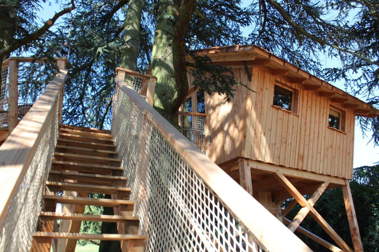 Bed & Breakfast Domaine Des Grands Cedres
